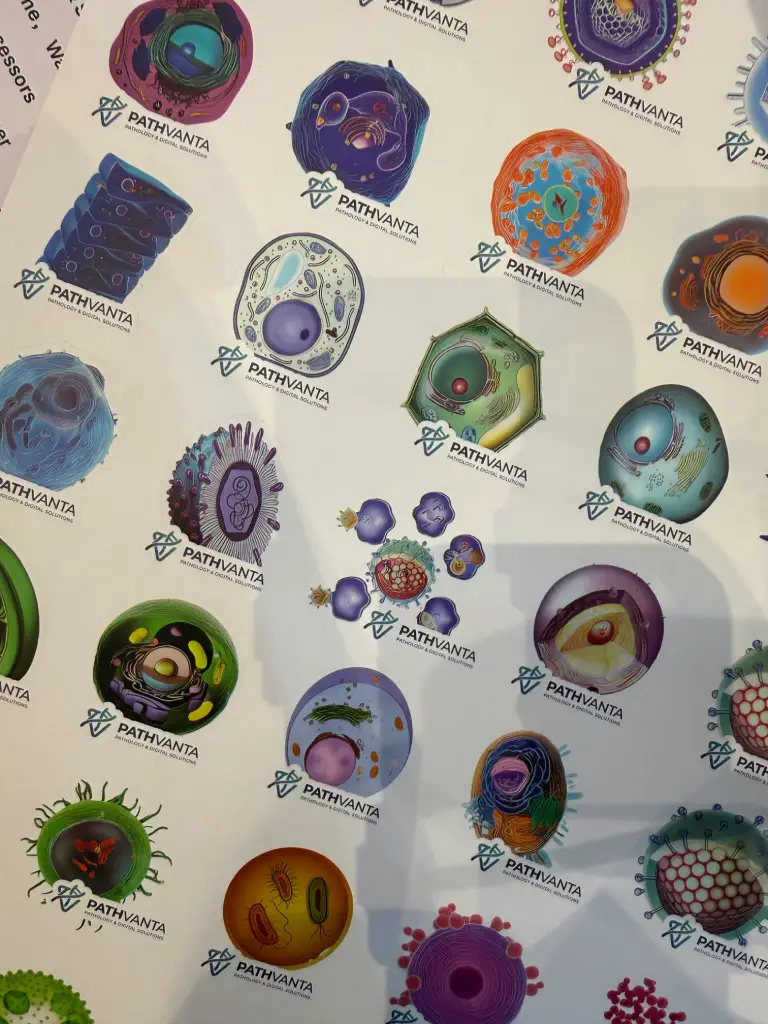 different types of bacteria